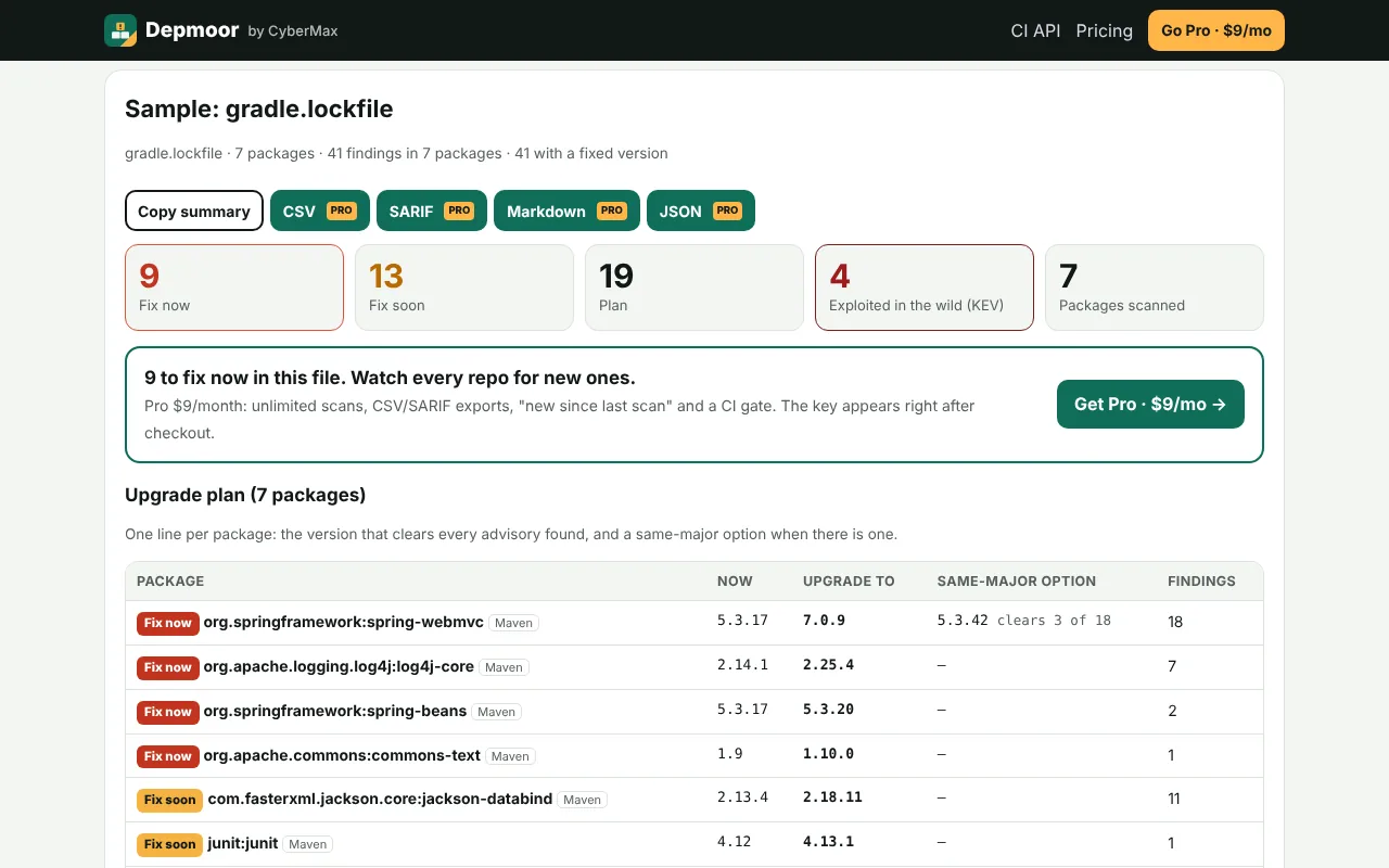 Depmoor: Dependency Vulnerability Scanner, as it opens in a browser tab
